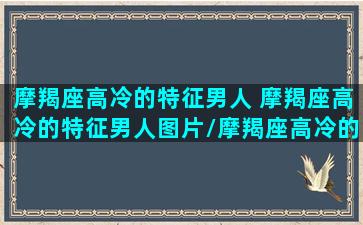 摩羯座高冷的特征男人 摩羯座高冷的特征男人图片/摩羯座高冷的特征男人 摩羯座高冷的特征男人图片-我的网站